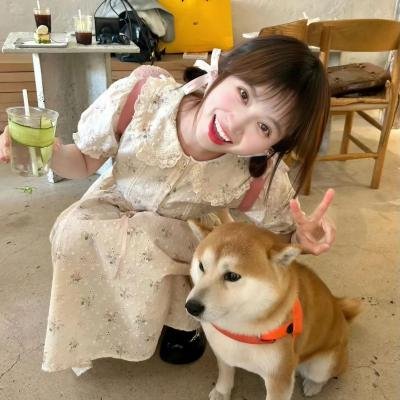 你是猪